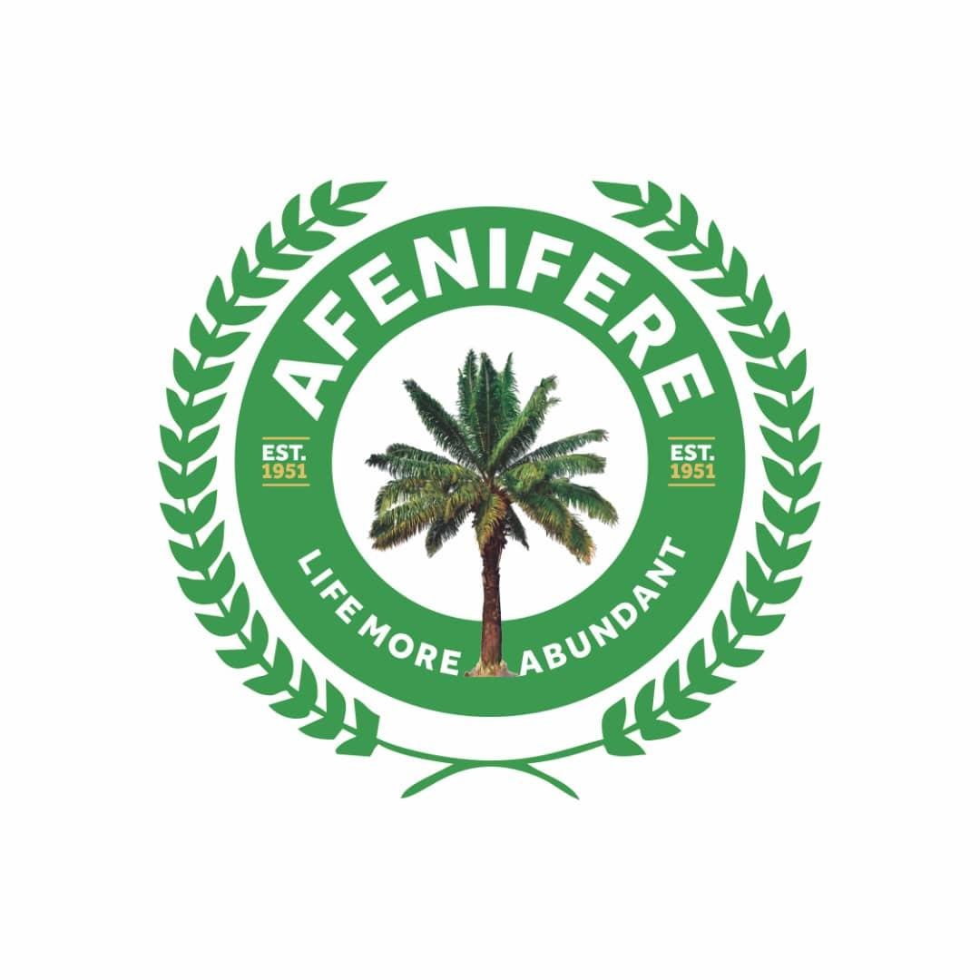 Armed Robbery, Kidnapping On The Rise In S’West – Afenifere