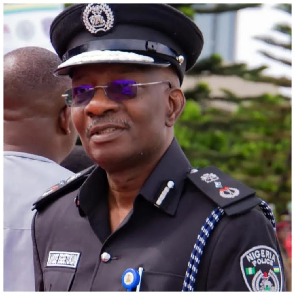 Lack Of Sufficient Manpower Hindering Fight Against Crime – IGP