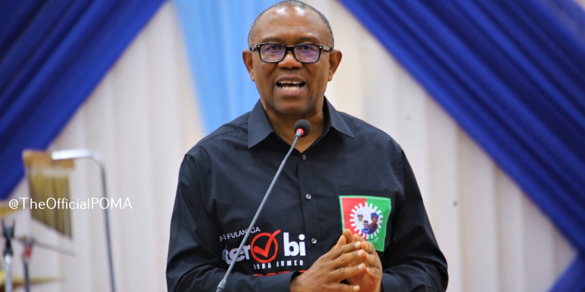 Give Chance For Democracy In Niger – Peter Obi Tells ECOWAS