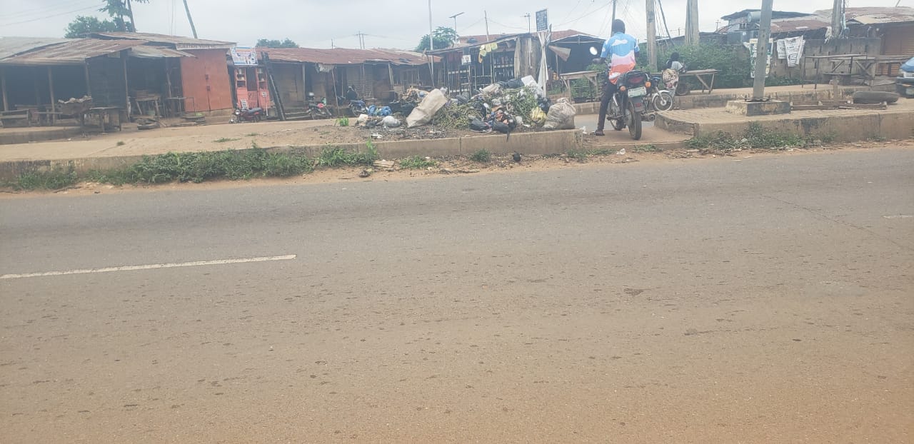 Weeds, Dirt Takes Over Osogbo Roads