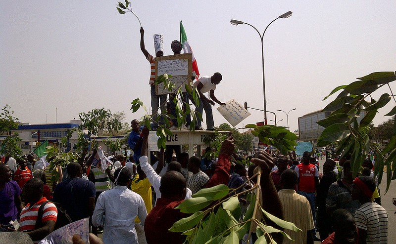 2012 ‘Occupy Nigeria’ Protest Purely Political – Fayemi