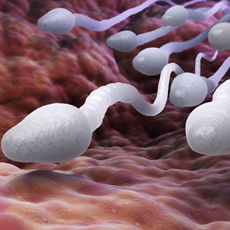 10 Unhealthy Habits That Can Damage Your Sperm