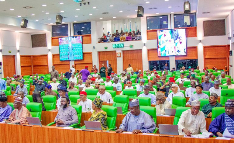 Reps Scrap Budget For Presidential Yatch, Increase Students’ Loan Allocation