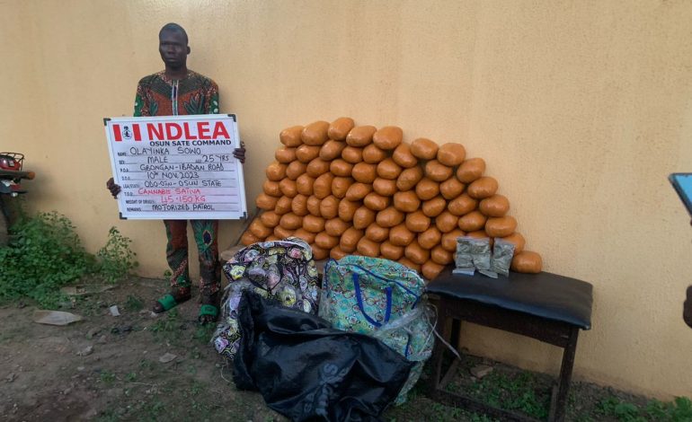 Osun Line Driver Apprehended While Transporting Drug Worth N6m From Lagos