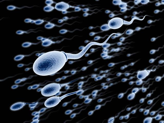10 Most Common Causes Of Low Sperm Count