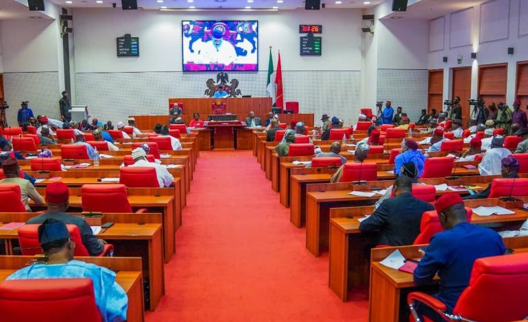 Drama As Senators Fight Over Seat During Plenary