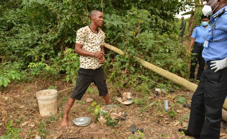 How Suspected Ritualists Slaughtered OAU Student, Dismembered Body