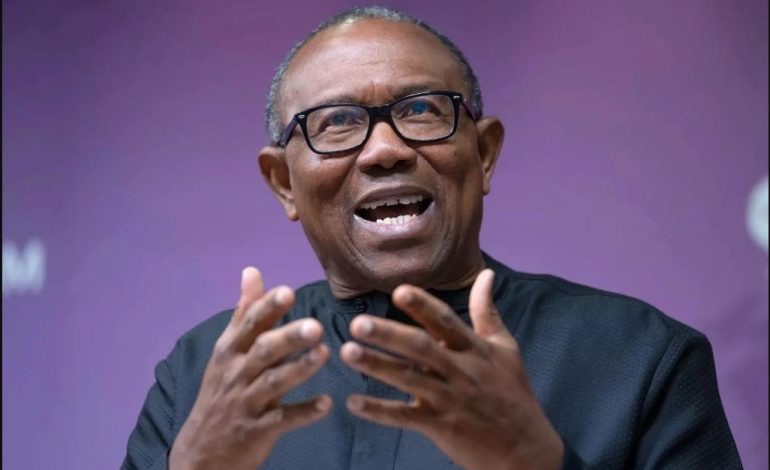 Persevere, Work To Dismantle Criminality, Corruption In Govt – Obi Tells Youths