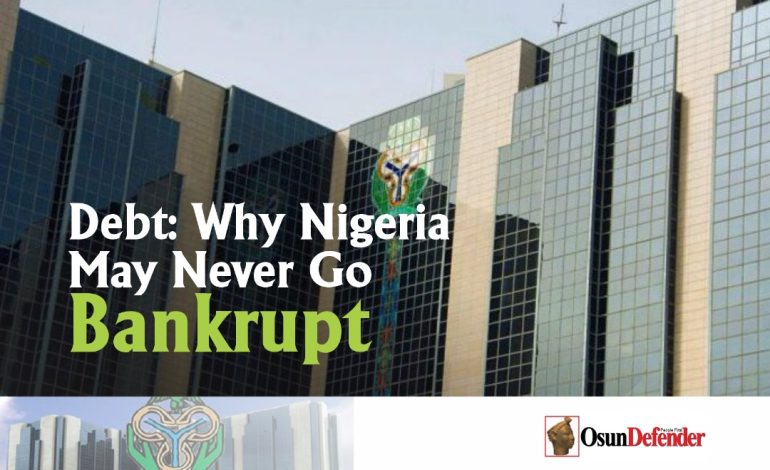 Debt: Why Nigeria May Never Go Bankrupt