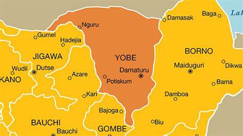 Police Arrest Phone Thief For Allegedly Stabbing Salesgirl In Yobe