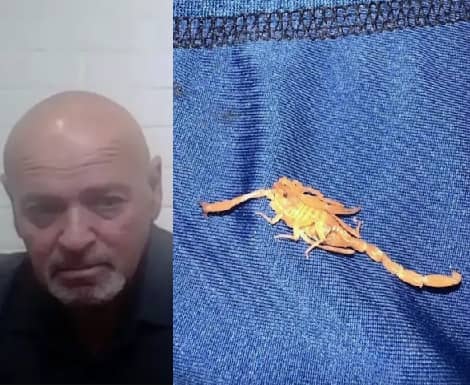 Scorpion Stings Man’s Testicles At 5-Star Hotel While Sleeping