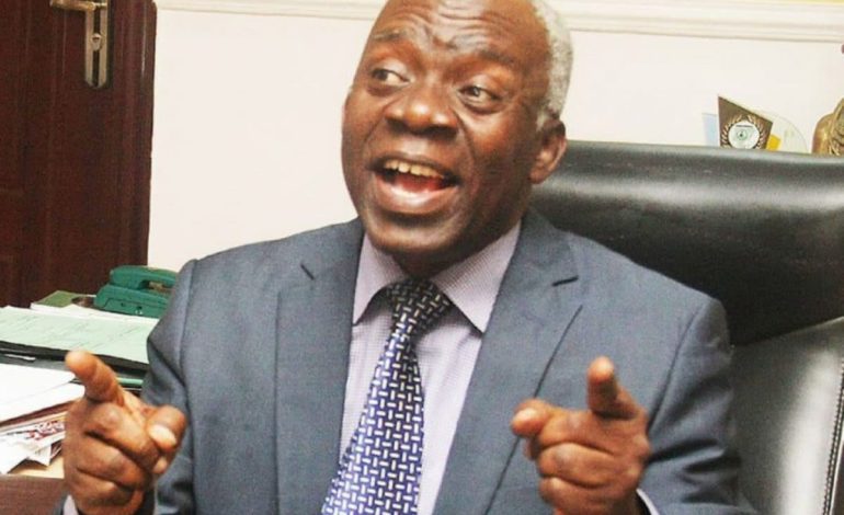 State Police An Avenue For Some Govs To Oppress Opponents – Falana